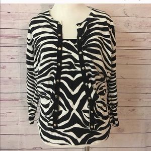 Boston Proper Sweater Twin set